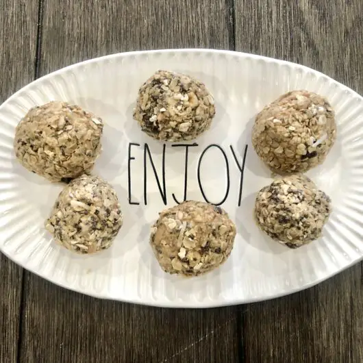 Peanut Butter and Oatmeal Protein Balls