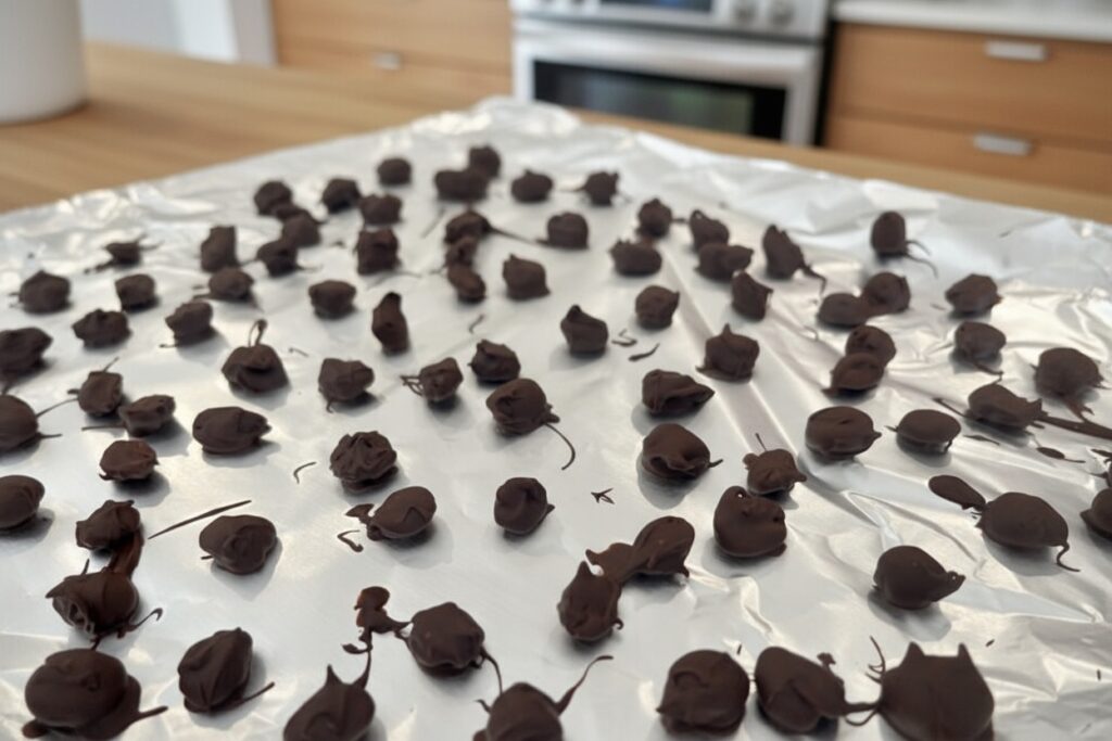 Chocolate Covered Espresso Beans