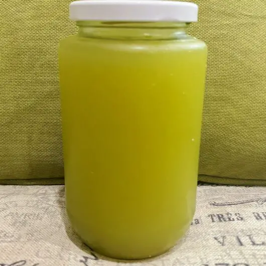 Healthy Blender Celery Juice